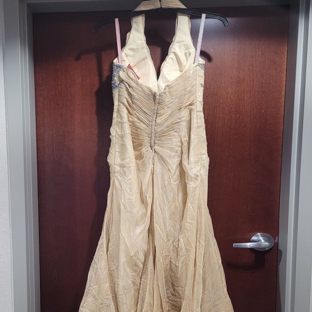 Blush Prom 9368 Size 2 Champagne Prom Dress - Picture 9 of 12